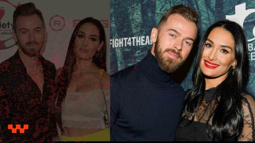 Nikki Bella Husband Artem Chigvintsev